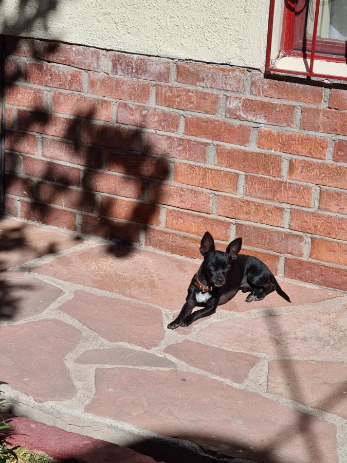 Hostal Iká Chihuahua Esterno foto